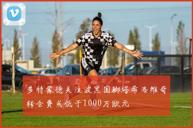 多特蒙德关注波黑国脚塔希洛维奇转会费或低于1000万欧元
